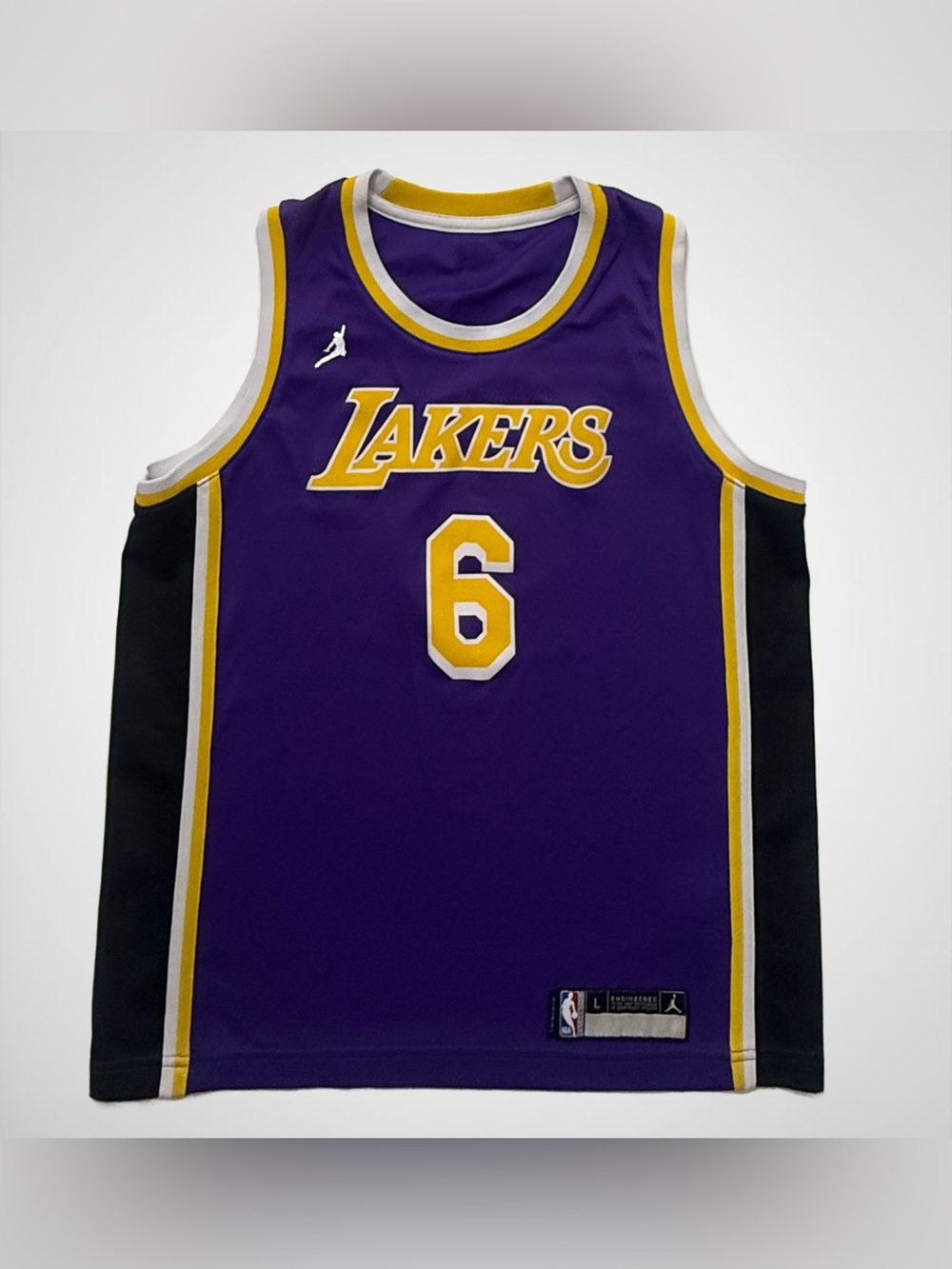 LeBron James #6 Lakers Jordan Swingman Jersey Purple Men’s Large